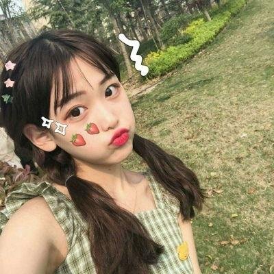 大象家族